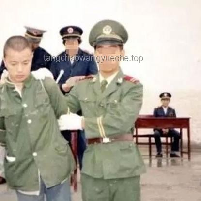 广东武警押送事件深度剖析：战术应对、风险评估与行业启示